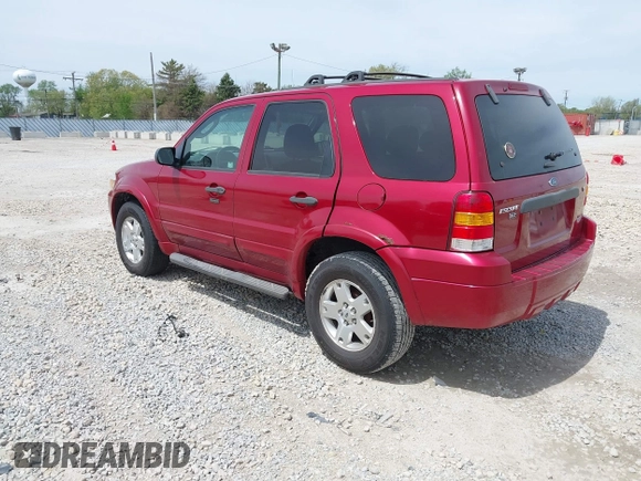2007 Ford Escape XLT with VIN 1FMYU03117KB44940, listed as a IAAI auction lot 42148846 with 238,871 mi miles. Bid and sale history available at carsss.com. Image 3.