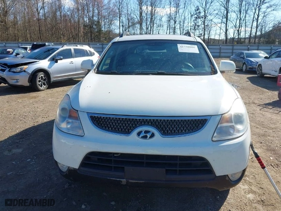 2008 Hyundai Veracruz GLS with VIN KM8NU13C18U069432, listed as a IAAI auction lot 41750806 with 203,132 mi miles. Bid and sale history available at carsss.com. Image 6.