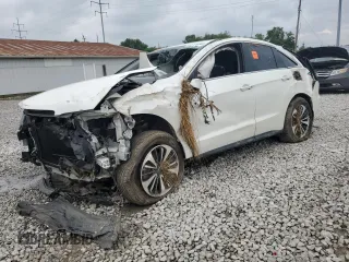 2017 Acura RDX Advance with VIN 5J8TB4H72HL019404, listed as a Copart auction lot 64728385 with Not provided miles and Salvage title. Bid and sale history available at DreamBid. Image 1.