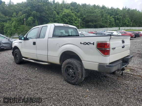 2013 Ford F-150 XL with VIN 1FTEX1EM0DFB88427, listed as a Copart auction lot 61206235 with 196,311 mi miles and Salvage title. Bid and sale history available at DreamBid. Image 2.