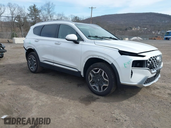 2023 Hyundai Santa Fe Limited with VIN 5NMS4DAL0PH497767, listed as a IAAI auction lot 41578381 with 31,011 mi miles and . Bid and sale history available at DreamBid. Image 1.