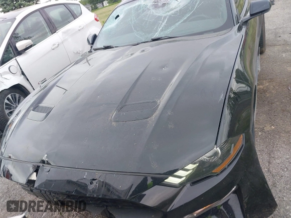 2021 Ford Mustang EcoBoost z VIN 1FA6P8TH7M5132841, wystawiony jako IAAI lot #42364830 z przebiegiem 22 331 mil mil oraz . Historia ofert i sprzedaży dostępna na DreamBid. Obrazek 12.