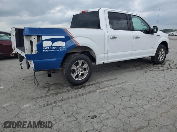 2016 Ford F-150 XL with VIN 1FTEW1CP9GKF08193, listed as a Copart auction lot 57269755 with 167,344 mi miles and Salvage title. Bid and sale history available at DreamBid. Image 3.