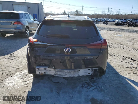 2019 Lexus UX 250h with VIN JTHU9JBH6K2013440, listed as a Copart auction lot 48181415 with 103,788 mi miles and Salvage title. Bid and sale history available at DreamBid. Image 6.