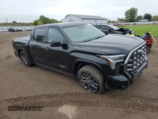 2022 Toyota Tundra Platinum with VIN 5TFNA5DB9NX028910, listed as a Copart auction lot 73638914 with 25,404 mi miles and Salvage title. Bid and sale history available at DreamBid. Image 4.