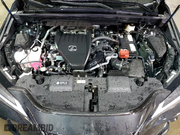 2023 Lexus NX with VIN 2T2AGCEZ9PC027881, listed as a Copart auction lot 84998954 with 13,547 mi miles and Clean Title. Bid and sale history available at carsss.com. Image 12.