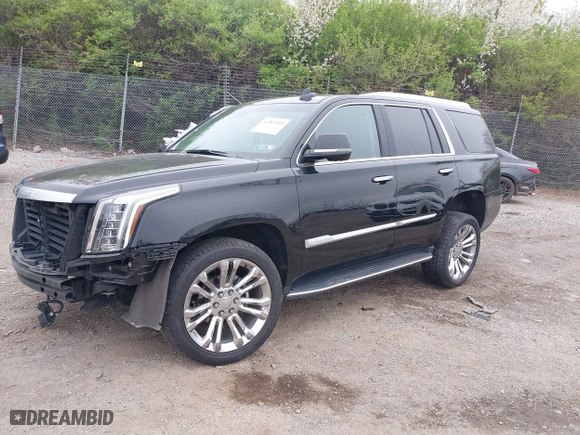 2019 Cadillac Escalade Premium Luxury with VIN 1GYS4CKJ5KR131129, listed as a IAAI auction lot 41983905 with 32,568 mi miles. Bid and sale history available at carsss.com. Image 18.