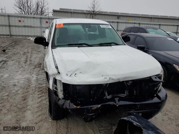 2011 Chevrolet Silverado 1500 Work Truck with VIN 1GCNCPEX4BZ163695, listed as a Copart auction lot 43125695 with 177,429 mi miles and Salvage Title. Bid and sale history available at carsss.com. Image 5.