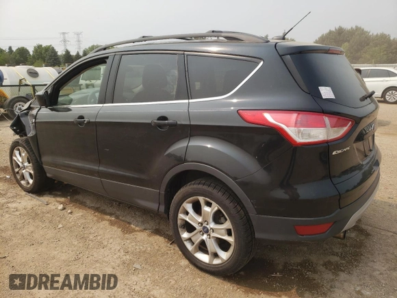 2013 Ford Escape SE with VIN 1FMCU0GXXDUA98419, listed as a Copart auction lot 59233695 with 151,615 mi miles and Salvage title. Bid and sale history available at DreamBid. Image 2.