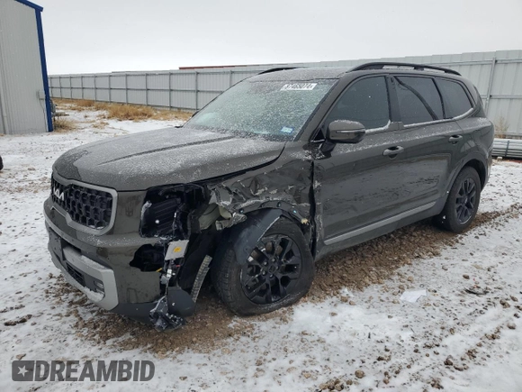 2023 Kia Telluride SX Prestige X-Pro with VIN 5XYP5DGC3PG354591, listed as a Copart auction lot 87465074 with 24,545 mi miles and Salvage title. Bid and sale history available at DreamBid. Image 1.
