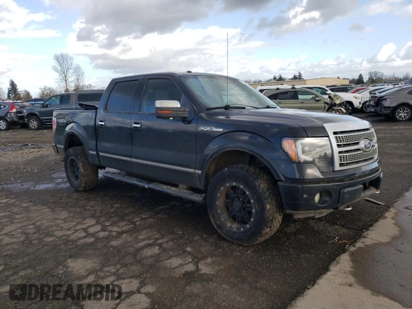 2010 Ford F-150 XL with VIN 1FTFW1EV8AFD18983, listed as a Copart auction lot 47315985 with 212,799 mi miles and Salvage Title. Bid and sale history available at carsss.com. Image 4.