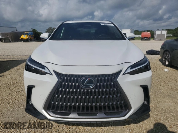 2023 Lexus NX with VIN JTJGDCAZ2P5009827, listed as a Copart auction lot 73701374 with Not Provided miles and Non Repairable. Bid and sale history available at carsss.com. Image 5.