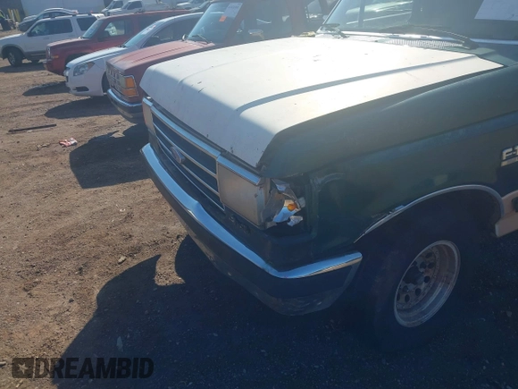 1991 Ford F-150 with VIN 1FTDF15Y4MPB03424, listed as a IAAI auction lot 41816984 with 18,118 mi miles. Bid and sale history available at carsss.com. Image 6.