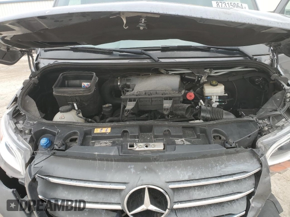 2021 Mercedes-Benz Sprinter with VIN W1Y4EDVY2MT064081, listed as a Copart auction lot 87315064 with Not Provided miles and Salvage Title. Bid and sale history available at DreamBid. Image 12.