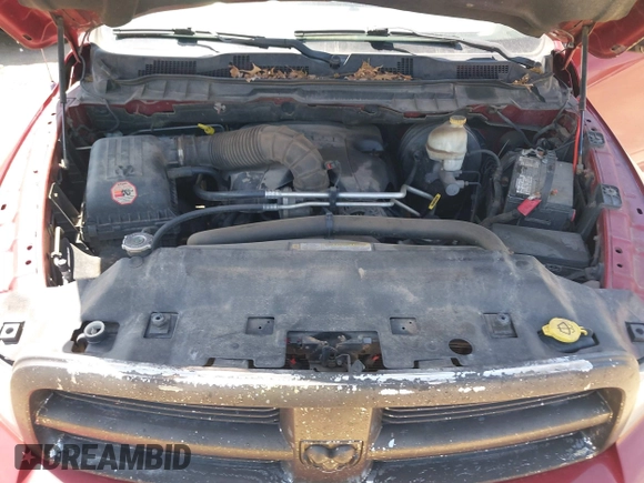 2010 Dodge 1500 SLT with VIN 1D7RV1CT4AS186481, listed as a IAAI auction lot 41977635 with 196,131 mi miles and . Bid and sale history available at DreamBid. Image 10.
