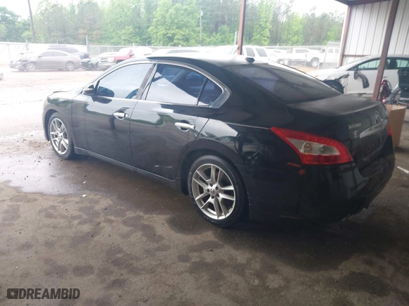 2011 Nissan Maxima 3.5 SV with VIN 1N4AA5AP0BC800525, listed as a IAAI auction lot 41969757 with 212,919 mi miles. Bid and sale history available at carsss.com. Image 3.