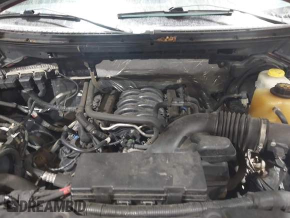 2014 Ford F-150 XL with VIN 1FTFX1EF1EKF24715, listed as a IAAI auction lot 41520559 with 183,650 mi miles. Bid and sale history available at carsss.com. Image 10.