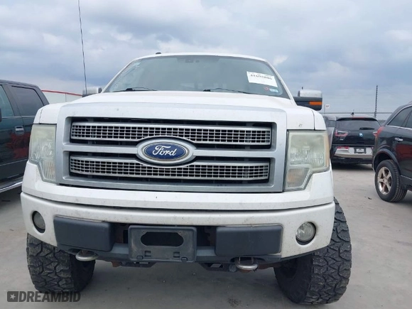 2010 Ford F-150 XL with VIN 1FTFW1EV7AFD87194, listed as a IAAI auction lot 41695806 with 250,603 mi miles. Bid and sale history available at carsss.com. Image 6.