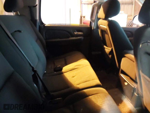 2010 Chevrolet Suburban LS with VIN 1GNUCHE01AR158111, listed as a IAAI auction lot 41602157 with 263,227 mi miles. Bid and sale history available at carsss.com. Image 8.