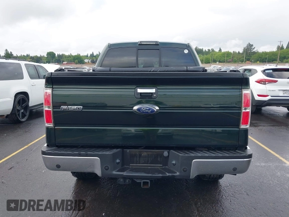 2013 Ford F-150 XL with VIN 1FTFW1ET7DFC63963, listed as a IAAI auction lot 42239365 with 125,980 mi miles and . Bid and sale history available at DreamBid. Image 16.
