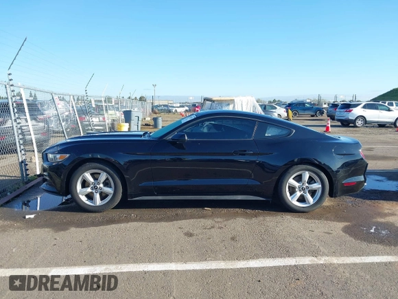 2017 Ford Mustang V6 with VIN 1FA6P8AM0H5272817, listed as a IAAI auction lot 41938576 with Not provided miles and . Bid and sale history available at DreamBid. Image 14.