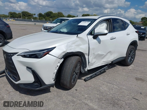 2024 Lexus NX 250 with VIN JTJADCAZ7R5022145, listed as a IAAI auction lot 41688698 with 5,699 mi miles and . Bid and sale history available at DreamBid. Image 2.