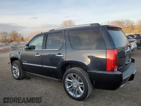 2013 Cadillac Escalade Platinum Edition with VIN 1GYS4DEF3DR205700, listed as a Copart auction lot 41800305 with 42,437 mi miles and Salvage Title. Bid and sale history available at carsss.com. Image 2.