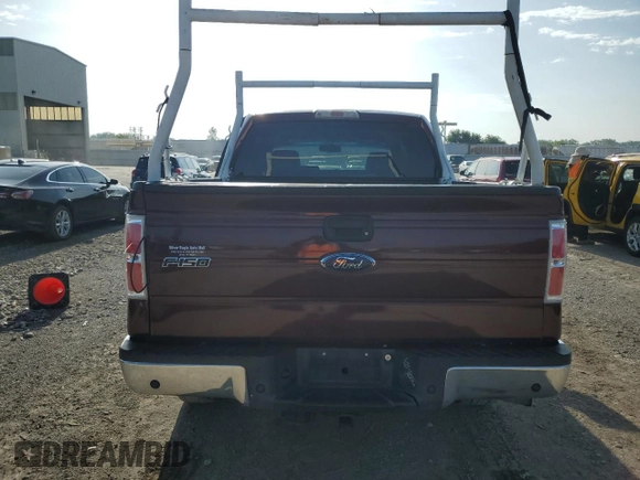 2009 Ford F-150 XL with VIN 1FTRW14889KC37087, listed as a Copart auction lot 58106134 with 225,464 mi miles and Salvage Title. Bid and sale history available at DreamBid. Image 6.