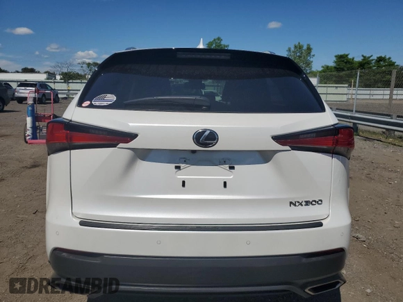 2021 Lexus NX with VIN JTJDARDZXM5020192, listed as a Copart auction lot 58360444 with 30,109 mi miles and Non Repairable. Bid and sale history available at carsss.com. Image 6.