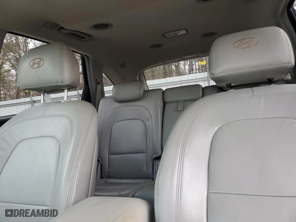 2007 Hyundai Veracruz GLS with VIN KM8NU13C67U019091, listed as a Copart auction lot 43911925 with 201,895 mi miles and Salvage Title. Bid and sale history available at carsss.com. Image 10.