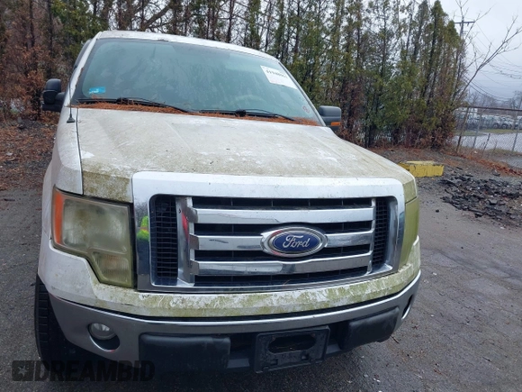 2010 Ford F-150 XL with VIN 1FTEX1E85AKC18141, listed as a IAAI auction lot 41948061 with 188,422 mi miles. Bid and sale history available at carsss.com. Image 6.