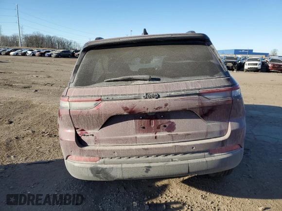 2024 Jeep Grand Cherokee Altitude X with VIN 1C4RJHAG3RC166409, listed as a Copart auction lot 87706675 with 6,441 mi miles and Salvage title. Bid and sale history available at DreamBid. Image 6.
