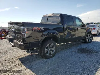 2013 Ford F-150 XL with VIN 1FTFW1CF1DKG41439, listed as a Copart auction lot 50168925 with 113,320 mi miles and Salvage Title. Bid and sale history available at carsss.com. Image 3.