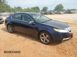 2009 Acura TL Technology z VIN 19UUA86549A009566, wystawiony jako Copart lot #54732455 z przebiegiem 248 257 mil mil oraz Szkoda całkowita • Salvage title. Historia ofert i sprzedaży dostępna na DreamBid. Obrazek 4.