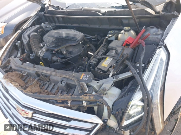 2019 Cadillac XT5 Premium Luxury AWD with VIN 1GYKNFRS7KZ145045, listed as a IAAI auction lot 39607961 with Not provided miles and . Bid and sale history available at DreamBid. Image 10.