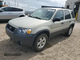 2005 Ford Escape XLT z VIN 1FMYU03165KC03784, wystawiony jako Copart lot #64299225 z przebiegiem 185 033 mil mil oraz Szkoda całkowita • Salvage title. Historia ofert i sprzedaży dostępna na DreamBid. Obrazek 1.