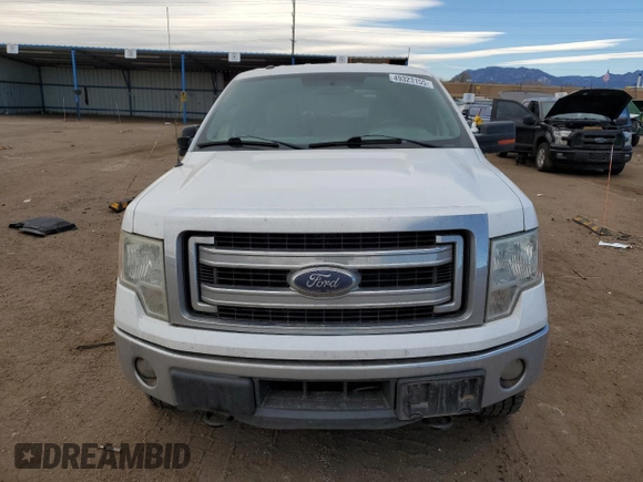 2014 Ford F-150 XL with VIN 1FTFW1ET2EFB47717, listed as a Copart auction lot 49323155 with 141,969 mi miles and Salvage title. Bid and sale history available at DreamBid. Image 5.