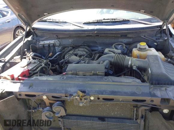 2014 Ford F-150 XL with VIN 1FTEX1CM3EFC83729, listed as a IAAI auction lot 41999134 with 209,558 mi miles and . Bid and sale history available at DreamBid. Image 10.