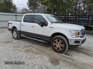 2019 Ford F-150 XL with VIN 1FTEW1E57KFB00501, listed as a Copart auction lot 49469185 with 251,210 mi miles and Clean Title. Bid and sale history available at carsss.com. Image 4.