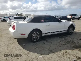2005 Ford Mustang Deluxe with VIN 1ZVFT84N455250273, listed as a Copart auction lot 50923095 with Not Provided miles and Salvage Title. Bid and sale history available at carsss.com. Image 3.