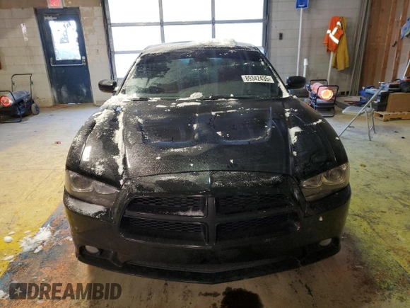 2014 Dodge Charger SXT Plus with VIN 2C3CDXJG0EH149134, listed as a Copart auction lot 89342435 with 282,021 mi miles and Salvage Title. Bid and sale history available at carsss.com. Image 5.