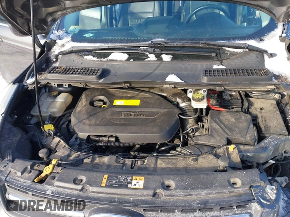 2016 Ford Escape SE with VIN 1FMCU9GX1GUC32307, listed as a IAAI auction lot 41395399 with 142,664 mi miles. Bid and sale history available at carsss.com. Image 10.
