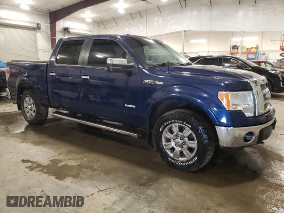 2011 Ford F-150 XLT with VIN 1FTFW1ET7BFB33212, listed as a Copart auction lot 48062245 with 163,204 mi miles and Salvage Title. Bid and sale history available at carsss.com. Image 4.