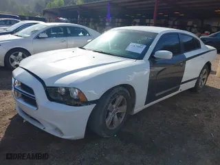 2014 Dodge Charger SE with VIN 2C3CDXBGXEH346231, listed as a IAAI auction lot 41875013 with 263,505 mi miles. Bid and sale history available at carsss.com. Image 2.