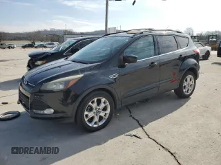2013 Ford Escape SE with VIN 1FMCU0GX2DUB77759, listed as a Copart auction lot 42611795 with 165,485 mi miles and Salvage Title. Bid and sale history available at DreamBid. Image 1.