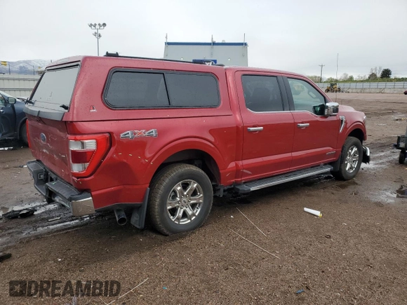 2021 Ford F-150 XL with VIN 1FTFW1ED7MFB28328, listed as a Copart auction lot 56223375 with 60,815 mi miles and Salvage title. Bid and sale history available at DreamBid. Image 3.