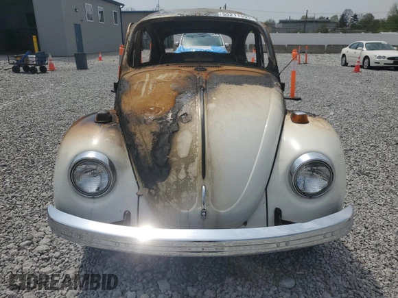 1969 Volkswagen Beetle with VIN 119235264, listed as a Copart auction lot 55211595 with Not Provided miles and Salvage Title. Bid and sale history available at DreamBid. Image 5.