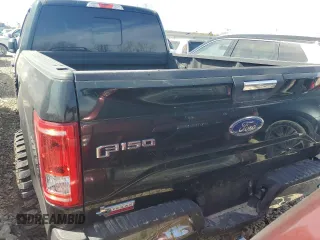 2015 Ford F-150 XL with VIN 1FTEX1CP7FKE08394, listed as a Copart auction lot 47661615 with 126,942 mi miles and Salvage Title. Bid and sale history available at carsss.com. Image 6.