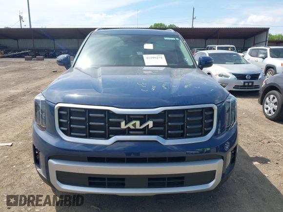 2025 Kia Telluride S with VIN 5XYP64GC6SG581215, listed as a IAAI auction lot 42295271 with 17,941 mi miles and . Bid and sale history available at DreamBid. Image 6.