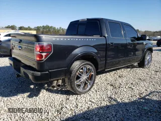 2010 Ford F-150 with VIN 1FTEW1CV6AFA09527, listed as a Copart auction lot 41410035 with 191,889 mi miles and Salvage title. Bid and sale history available at DreamBid. Image 3.
